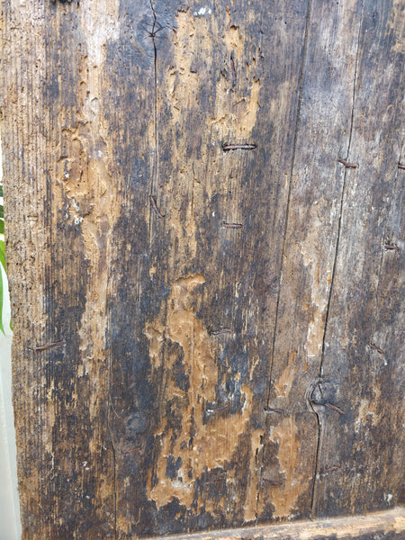 Antique 19th Century French Rustic Large Wooden Barn Chateau Shutters Doors