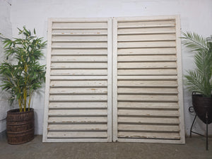 Pair Large Vintage Rustic French White Wooden Window Shutters Saloon Doors