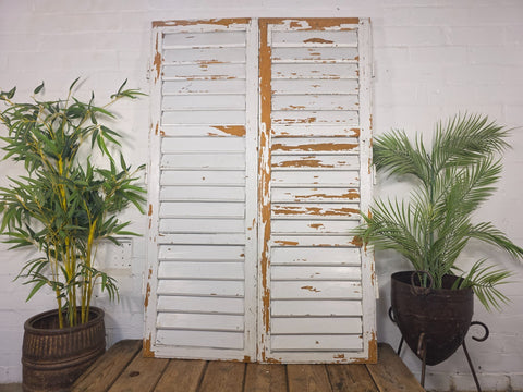 Vintage Antique Pair Rustic White French Louvered Pine Wooden Window Shutters