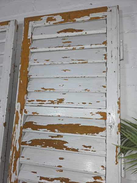 Vintage Antique Pair Rustic White French Louvered Pine Wooden Window Shutters