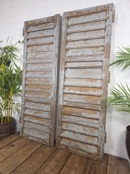 Vintage Antique Pair Rustic Grey French Louvered Pine Wooden Window Shutters