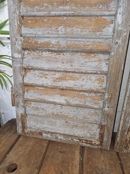 Vintage Antique Pair Rustic Grey French Louvered Pine Wooden Window Shutters