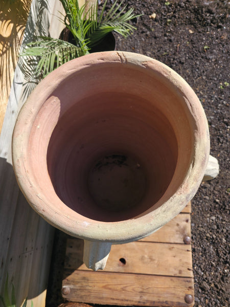 Large Rustic Mediterranean Terracotta Olive Tree Garden Plant Pot Planter Urn