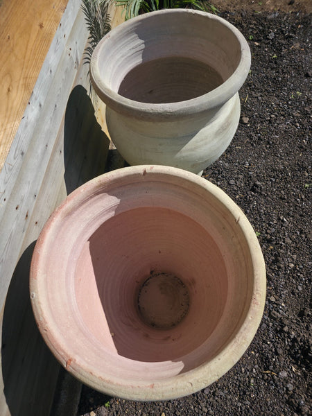 Large Rustic Mediterranean Terracotta Olive Tree Garden Plant Pot Planter Urn