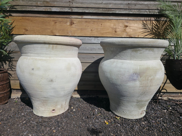 Large Rustic Mediterranean Terracotta Olive Tree Garden Plant Pot Planter Urn