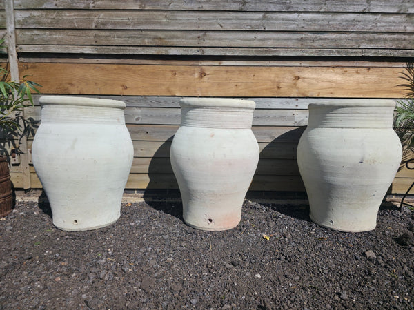 Large Rustic Mediterranean Terracotta Olive Tree Garden Plant Pot Planter Urn