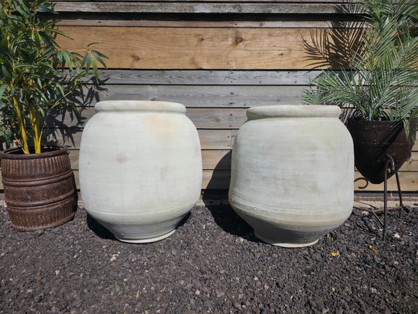Large Rustic Mediterranean Terracotta Olive Tree Garden Plant Pot Planter Urn