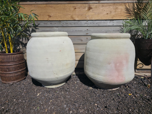 Large Rustic Mediterranean Terracotta Olive Tree Garden Plant Pot Planter Urn