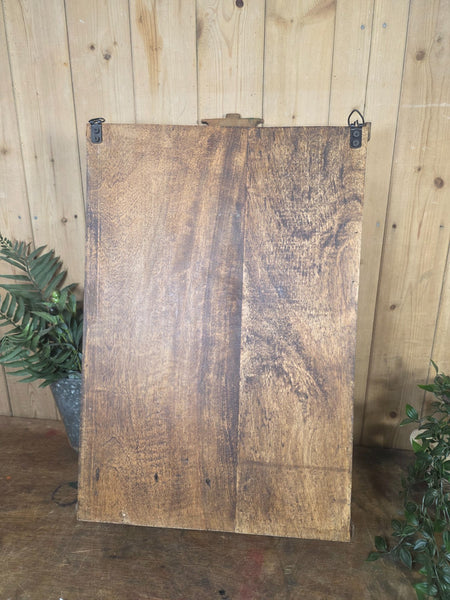 Vintage Indian Wooden Glazed Display Bathroom Kitchen Herb Spice Wall Cabinet