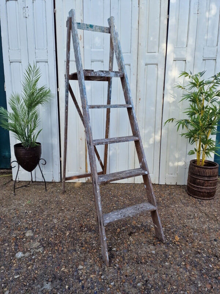 Vintage Rustic French Fruit Picking Decorators Trestle Ladders