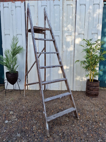 Vintage Rustic French Fruit Picking Decorators Trestle Ladders