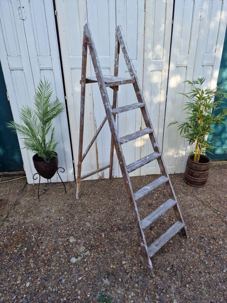 Vintage Rustic French Fruit Picking Decorators Trestle Ladders