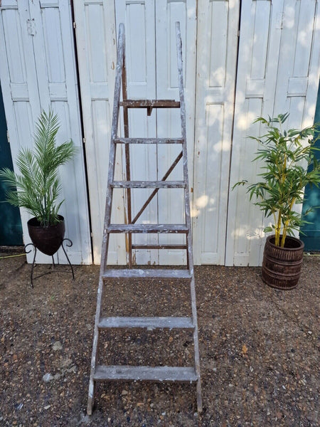 Vintage Rustic French Fruit Picking Decorators Trestle Ladders