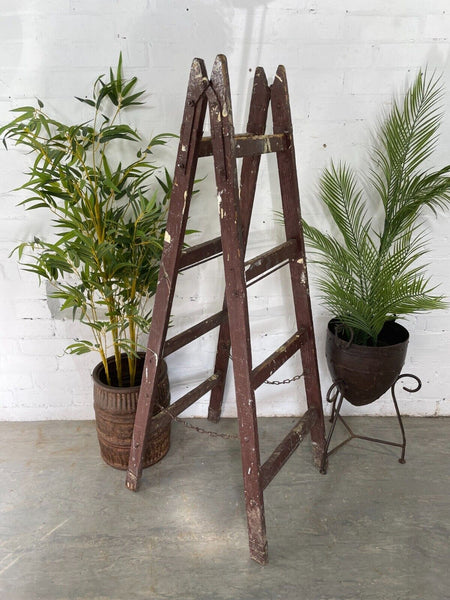 Vintage Rustic French Fruit Picking Decorators Trestle Ladders