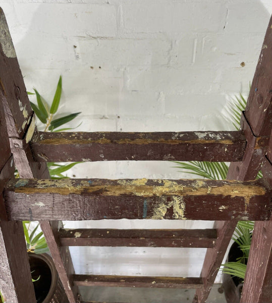 Vintage Rustic French Fruit Picking Decorators Trestle Ladders