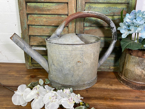 Vintage Large French European Galvanised Zinc Watering Can Garden Planter