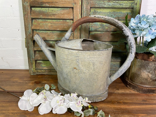 Vintage Large French European Galvanised Zinc Watering Can Garden Planter