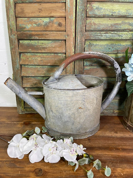 Vintage Large French European Galvanised Zinc Watering Can Garden Planter