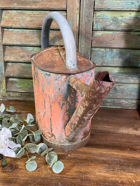 Vintage Large French European Galvanised Zinc Watering Can Garden Planter