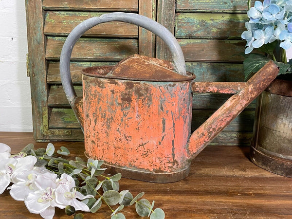 Vintage Large French European Galvanised Zinc Watering Can Garden Planter