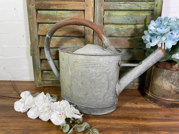 Vintage Large French European Galvanised Zinc Watering Can Garden Planter