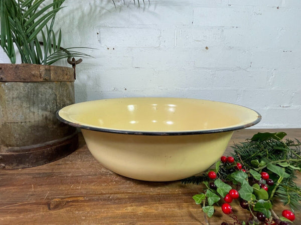 Large Vintage French European Enamel Wash Basin Bowl Garden Planter Bird Bath