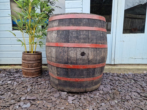 Antique Vintage French Oak Red Banded Wine Barrel Garden Planter