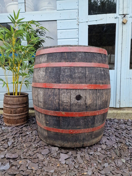Antique Vintage French Oak Red Banded Wine Barrel Garden Planter