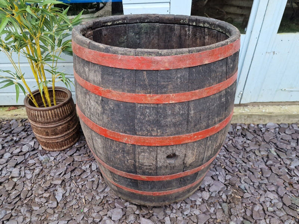 Antique Vintage French Oak Red Banded Wine Barrel Garden Planter